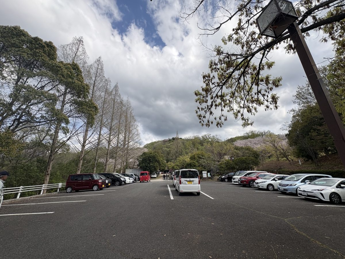 公園側駐車場