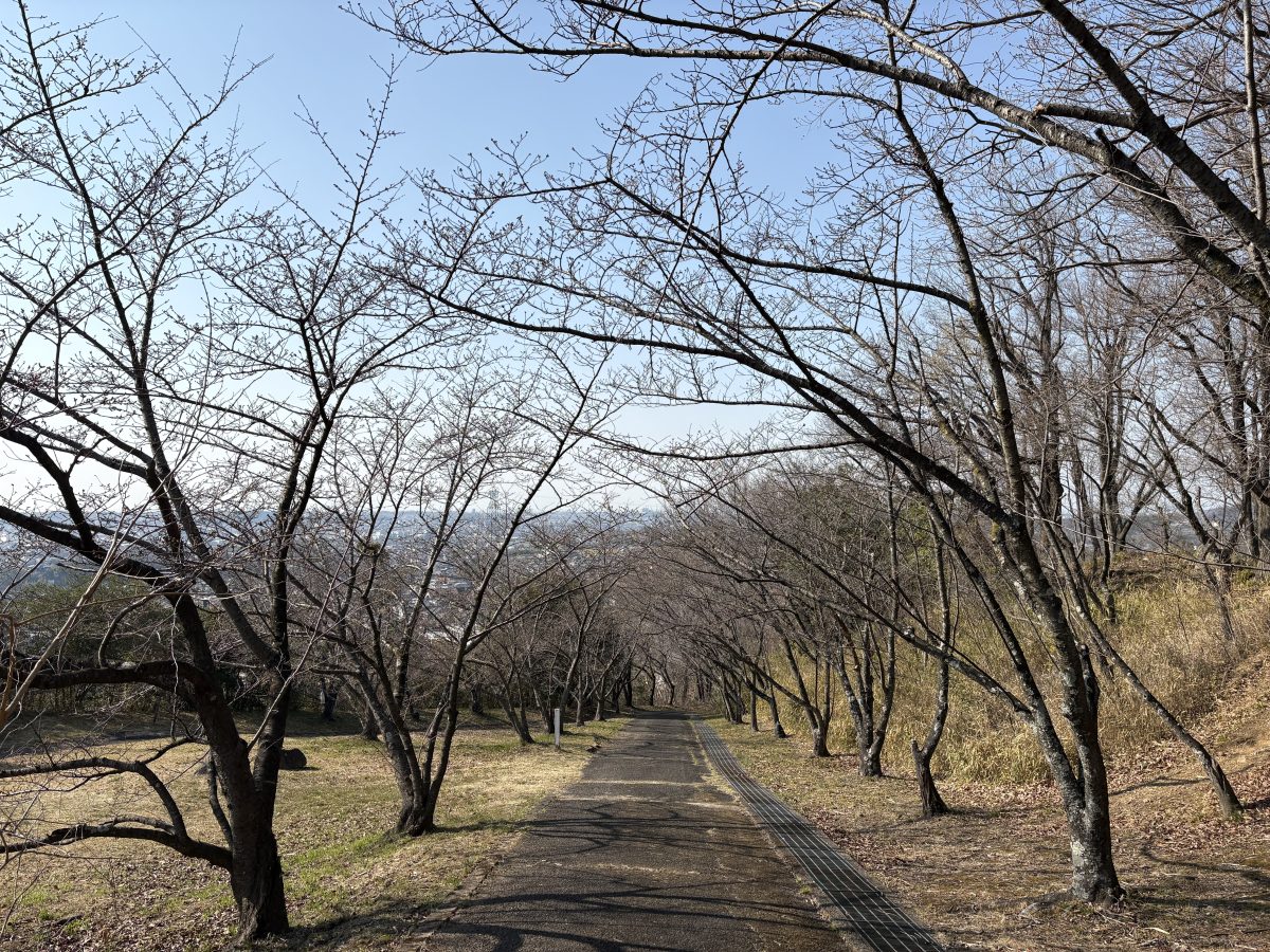 3月21日の平成の通り抜け