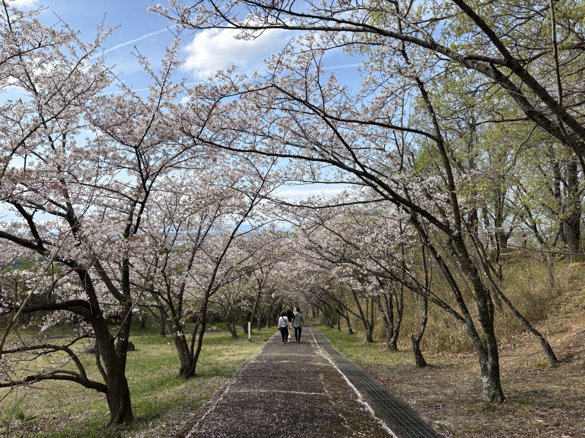 4月5日の平成の通り抜け