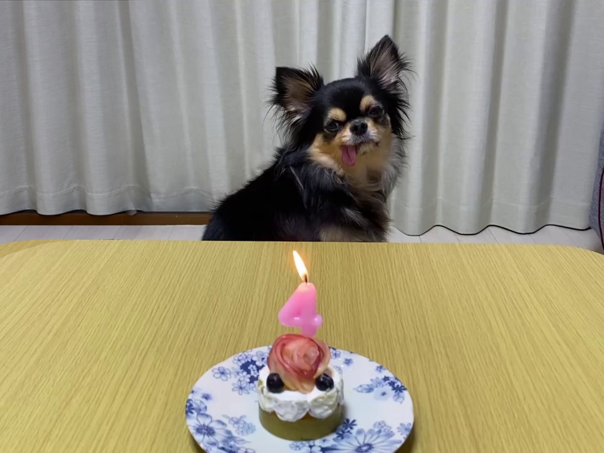 4のローソクとこつぶ