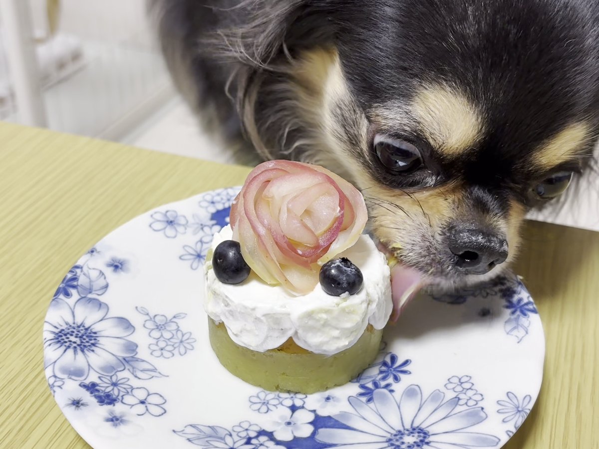 ケーキをなめるこつぶ