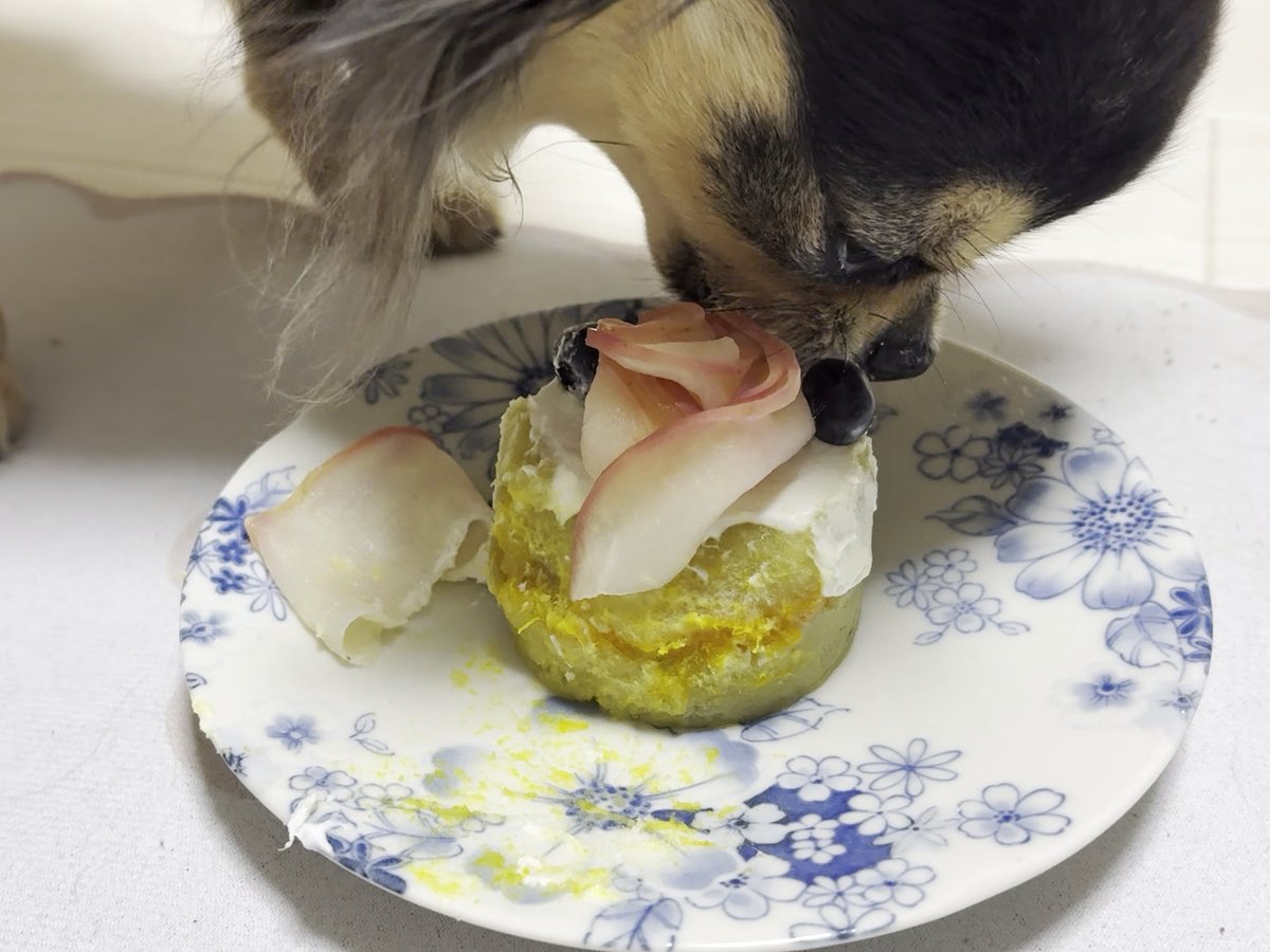 ケーキを食べるこつぶ