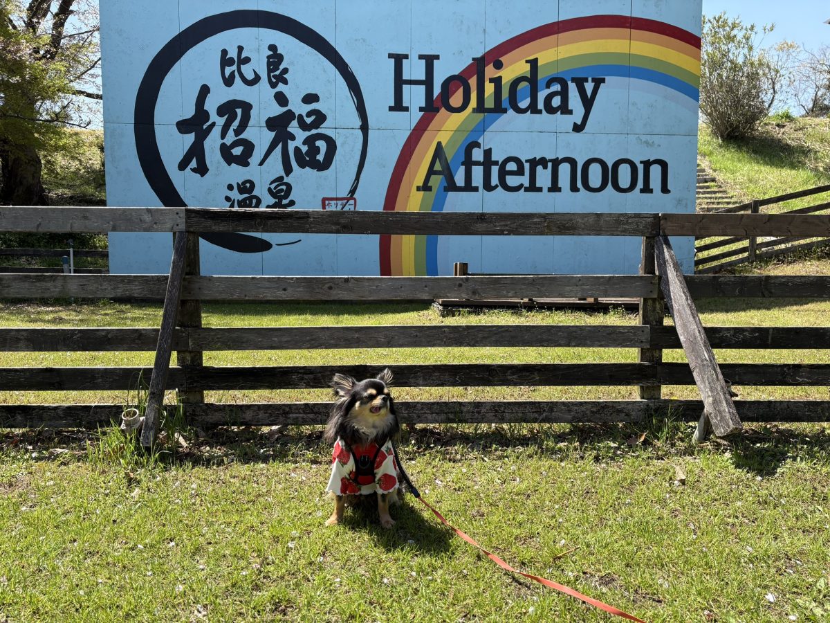 ホリデーアフタヌーンの看板とこつぶ