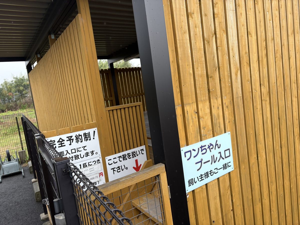 ワンちゃんプール入口