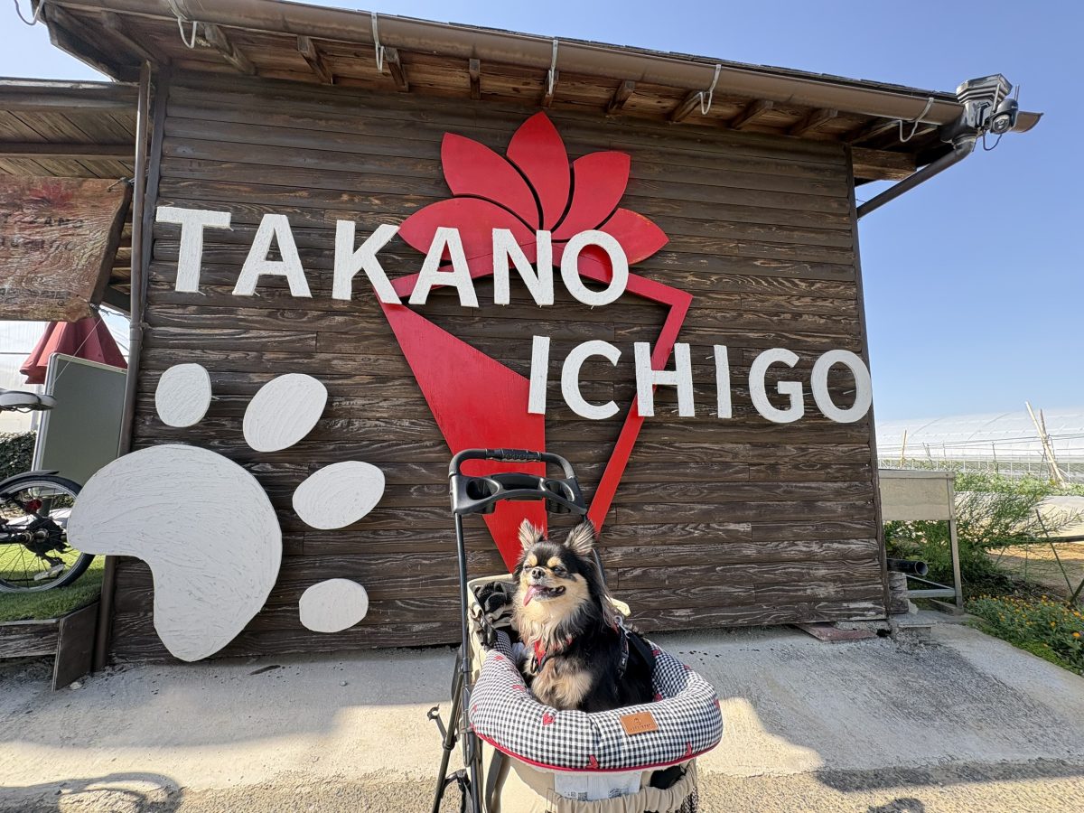 高野いちご園の看板