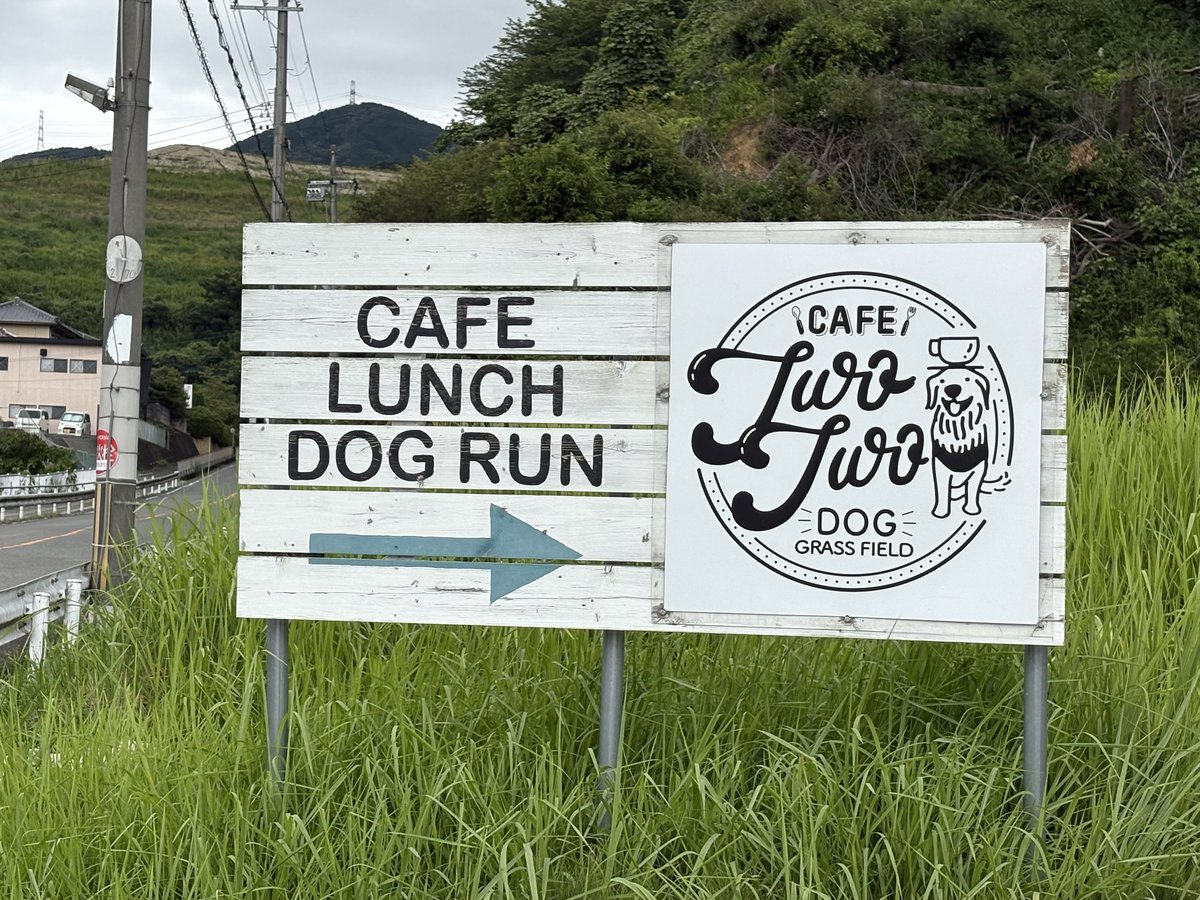 Cafe TwoTwo & Dog Grass Field