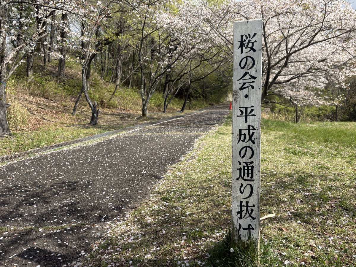 近つ飛鳥風土記の丘