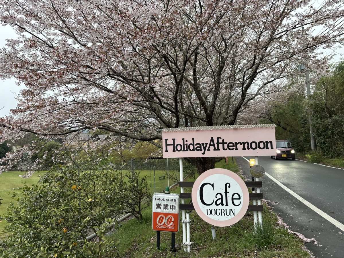 ホリデーアフタヌーン