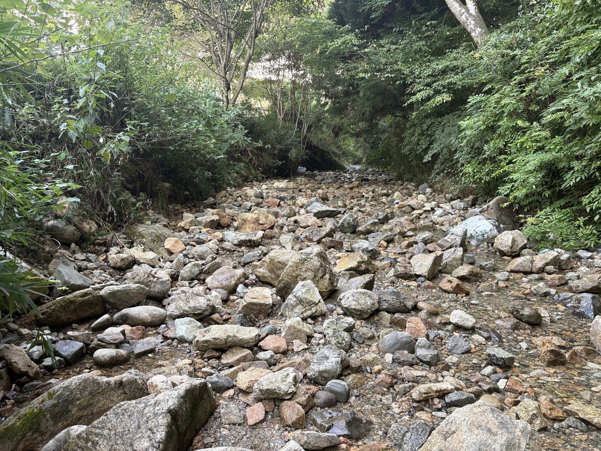 槇尾こもれびの森