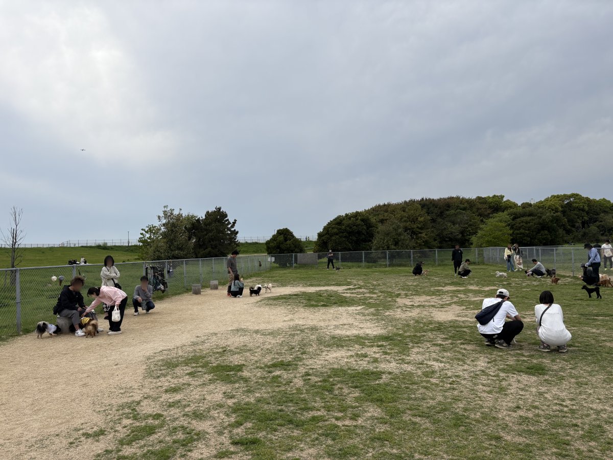 海とのふれあい広場